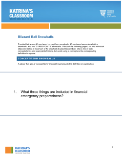 Blizzard Ball Snowballs