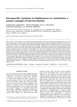 Intraspecific variation in limblessness in vertebrates: a unique