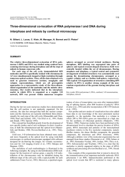 Three-dimensional co-location of RNA polymerase I and DNA