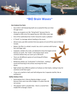 previous issues of the BIO Brain Waves