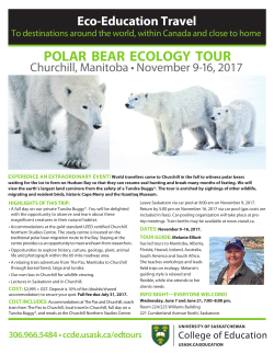 polar bear ecology tour
