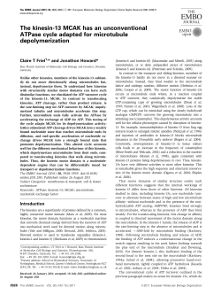 The kinesin13 MCAK has an unconventional ATPase cycle adapted
