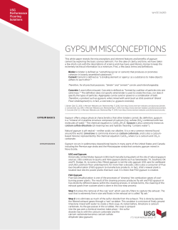 USG Gypsum Misconceptions White Paper (English)