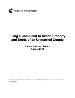 Filing a Complaint to Divide Property and Debts
