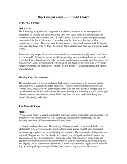 Day Care Good or Bad&hellip; - Dog`s Day Out Seattle