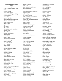 Prefix / Suffix List