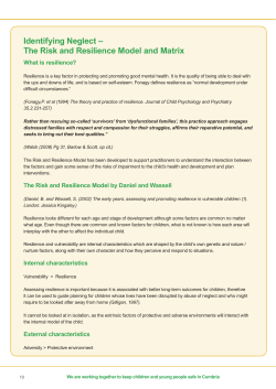 The Risk and Resilience Model and Matrix