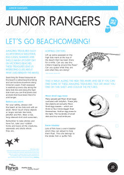 a Beachcomb - Junior Rangers