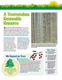 A Treemendous Renewable Resource