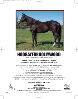 hoorayforhollywood - California Thoroughbred Breeders Association