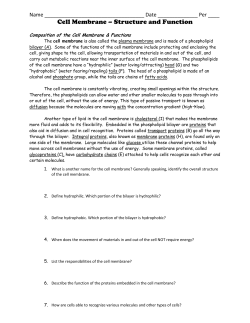 Cell Membrane &ndash; Structure and Function
