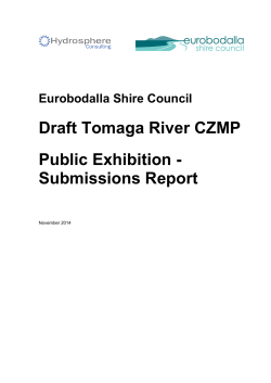 Hydrosphere Formal Report Template