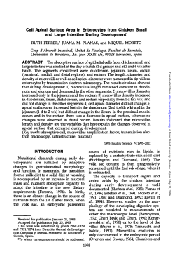 Cell Apical Surface Area in Enterocytes from Chicken Small and