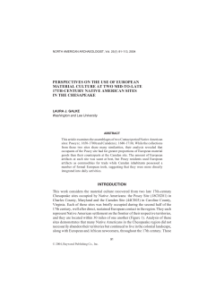 perspectives on the use of european material culture