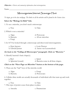 Microorganisms Internet Scavenger Hunt