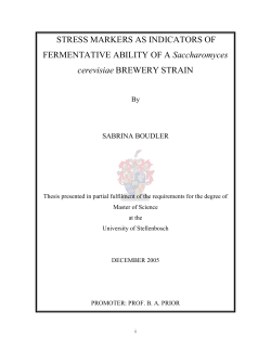 Chapter 1 - Stellenbosch University