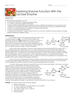 Exploring Enzyme Function With the Lactase Enzyme