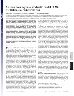 Cell Division Accuracy in a Stochastic Model of Min
