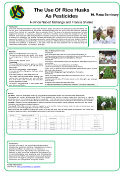 The use of rice husks as pesticides