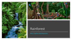 Lesson 2 Rainforest ppt MDK