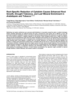 Root-Specific Reduction of Cytokinin Causes