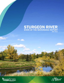 Sturgeon River State of the Watershed Report