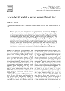 How is diversity related to species turnover through time?