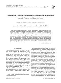 The Different Effects of Apoptosis and DNA Repair