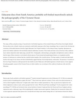 Ediacaran discs from South America: probable soft