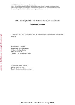 mRNA encoding Sec61&beta;, a tail-anchored protein, is localized on the