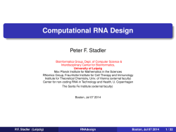 Computational RNA Design