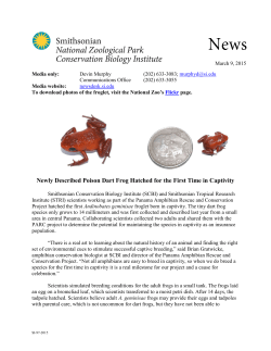Newly Described Poison Dart Frog Hatched for the First Time in