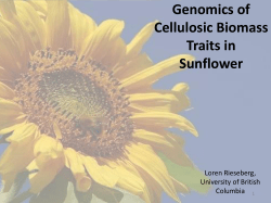Genomics of Sunflower