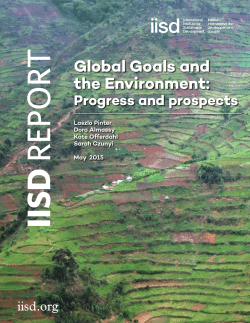 Global Goals and the Environment: Progress and prospects