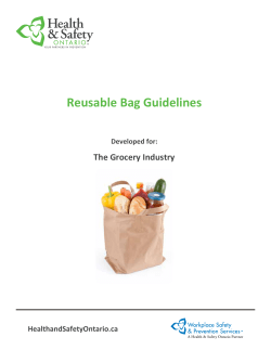 Reusable Bag Guidelines