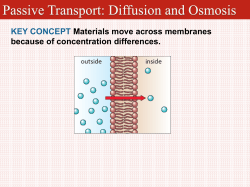 Passive Transport