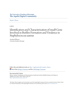Identification and Characterization of msaB Gene Involved in Biofilm