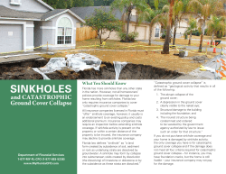 Other Information To Keep In Mind - Florida Department of Financial