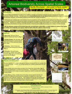 Arboreal Biodiversity Across Spatial Scales