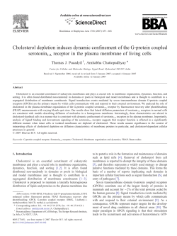 Cholesterol depletion induces dynamic confinement of the