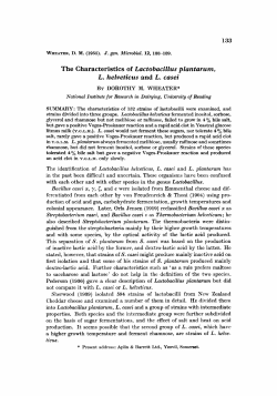 The Characteristics of Lactobacillus plantarum, L