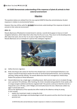 Migration - No Brain Too Small