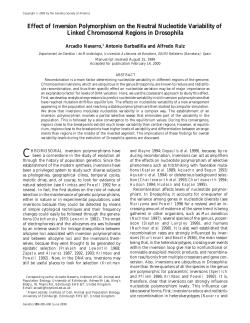 Effect of Inversion Polymorphism on the Neutral Nucleotide