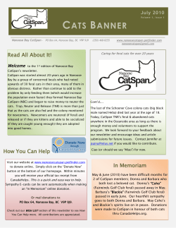 cats banner