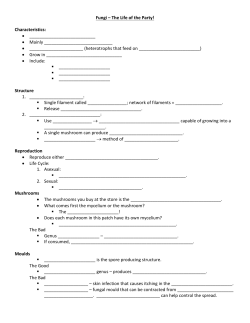 Fungi – The Life of the Party! Characteristics: • • Mainly • _