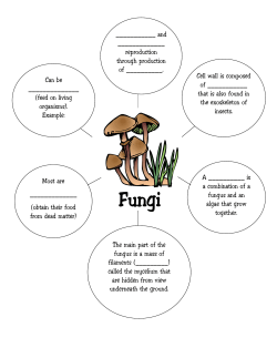 Cell wall is composed of ______ that is also found in the