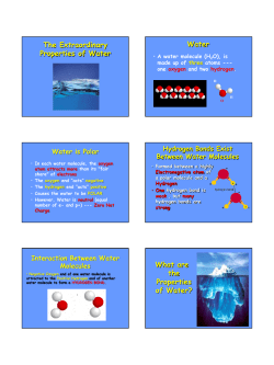 Hydrogen Bonds and Water