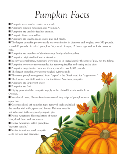 Pumpkin Facts
