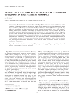 hemoglobin function and physiological adaptation to hypoxia in high