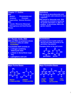 Chapter 17: Outline Definitions 17.1 Nucleic Acids, DNA